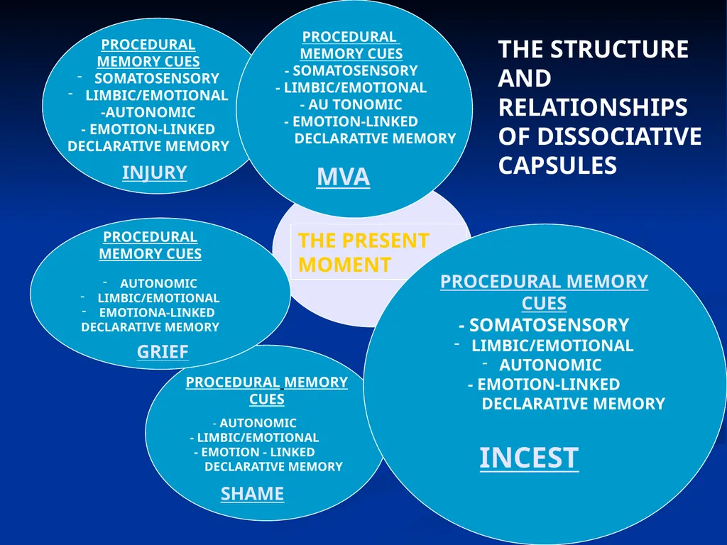 DISSOCIATION THEORY, NEUROPLASTICITY AND THE - slide 74 of 98