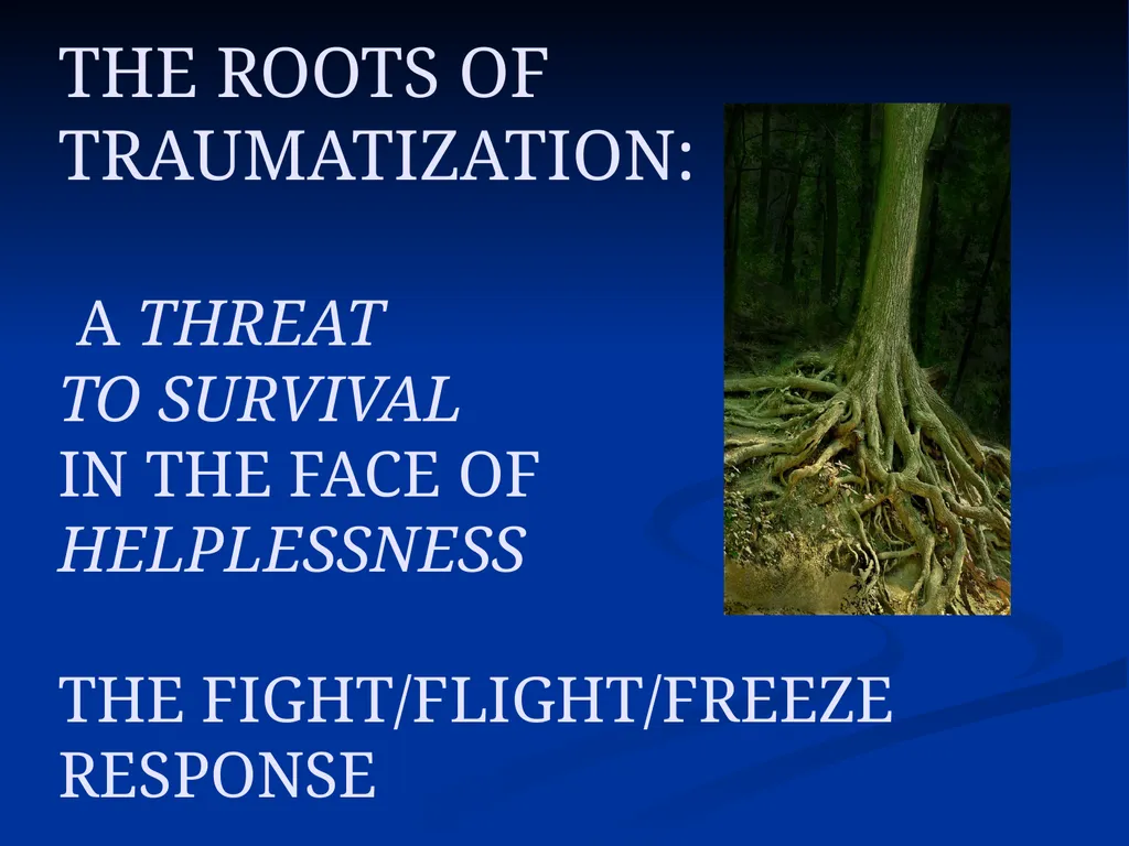 DISSOCIATION THEORY, NEUROPLASTICITY AND THE - slide 2 of 98