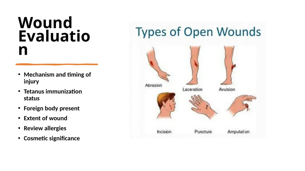 Laceration and Wound care 101 Dr. Amy Sikes - slide 3 of 18