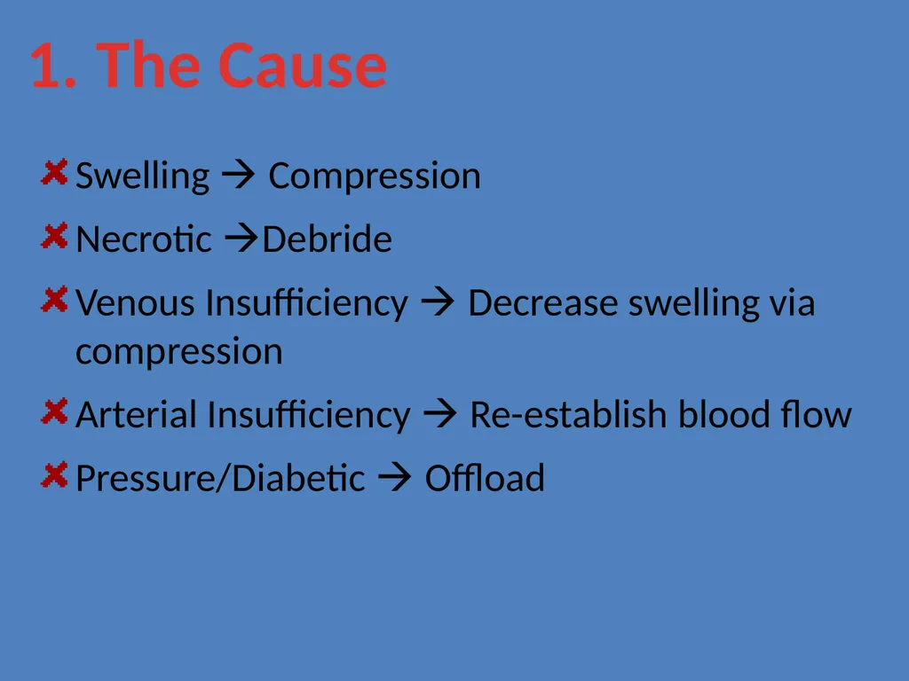 Practical Wound Care Strategies Created by L. - slide 5 of 50