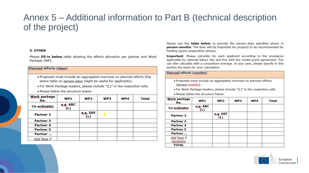 Alessandra Pace – Financial Officer Info day - slide 12 of 39