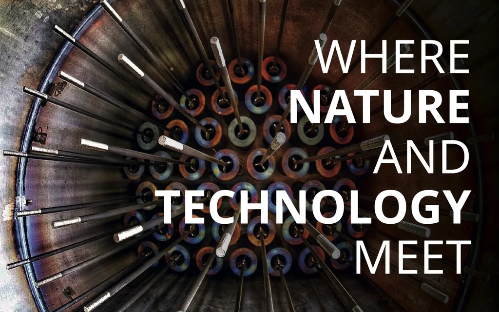 Water Bath Heaters 101 WHERE NATURE AND TECHNOLOGY - slide 2 of 4