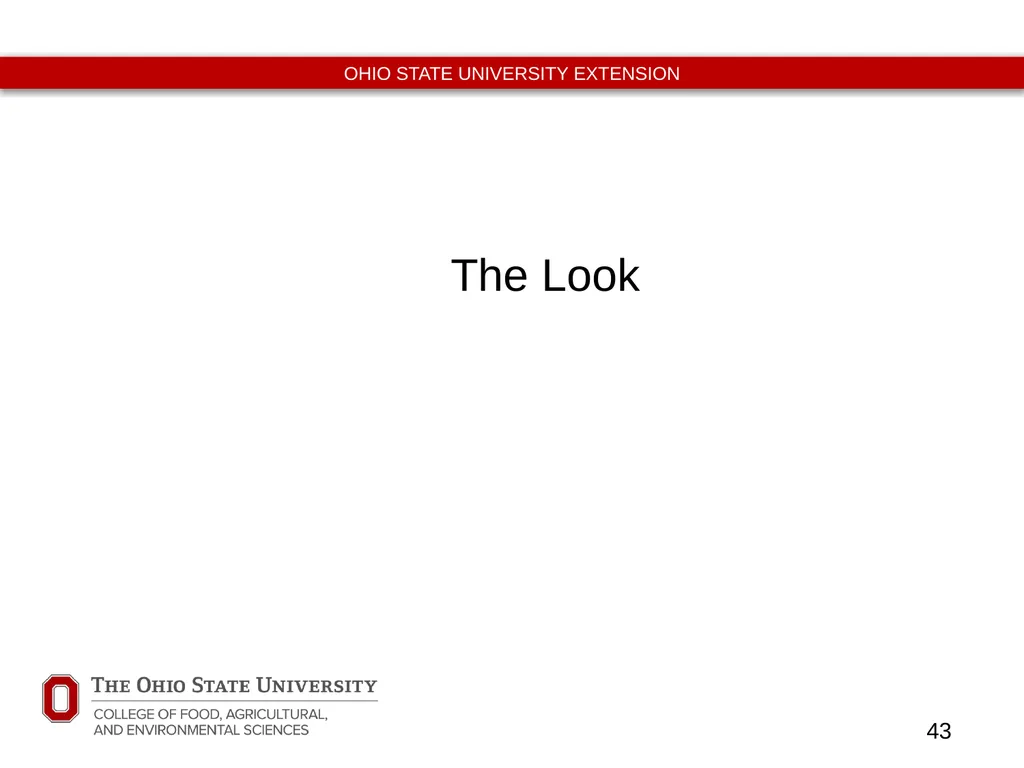 Never Let Them See You Sweat Classroom Management - slide 43 of 53