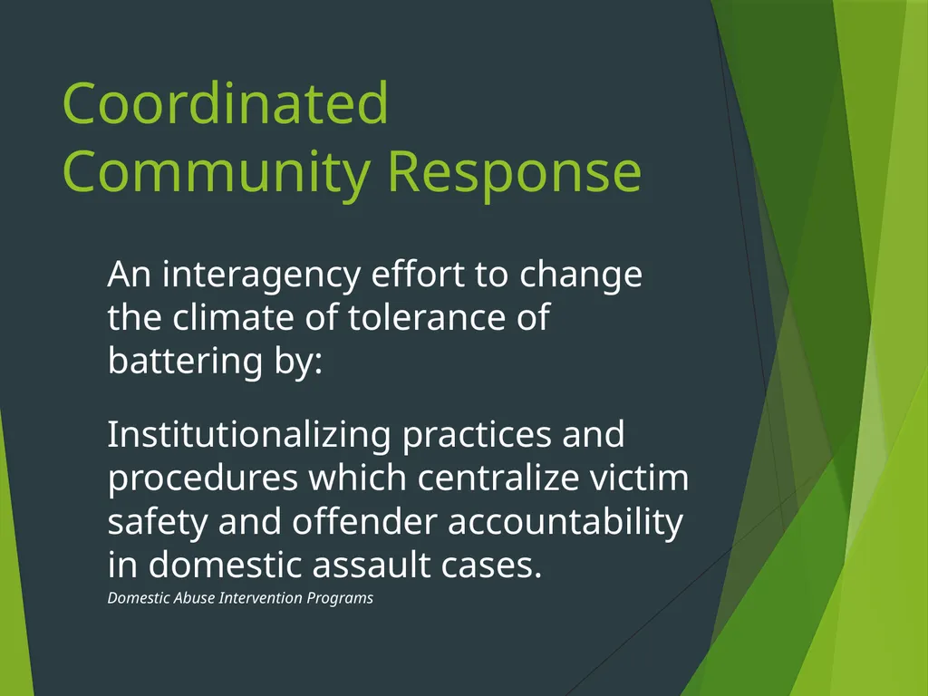 The Duluth Model, Coordinated Community Response - slide 13 of 31