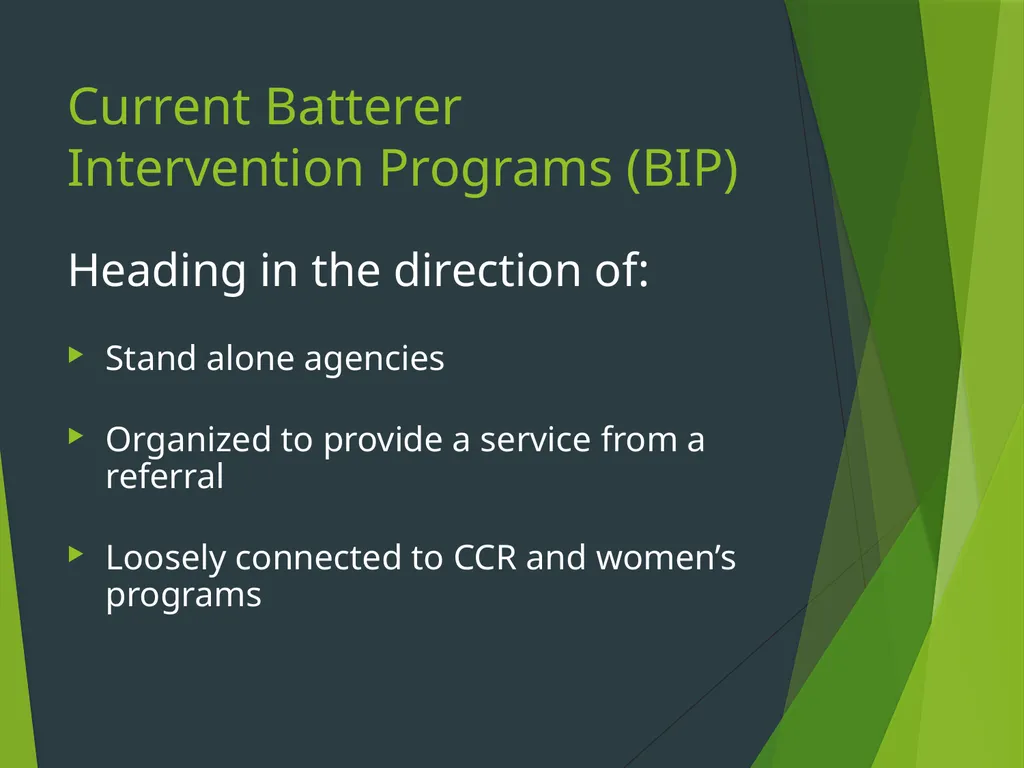 The Duluth Model, Coordinated Community Response - slide 30 of 31