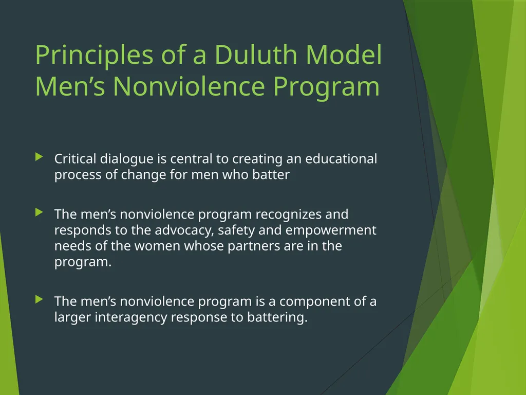 The Duluth Model, Coordinated Community Response - slide 29 of 31
