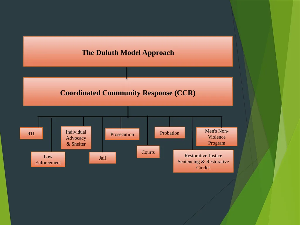 The Duluth Model, Coordinated Community Response - slide 14 of 31