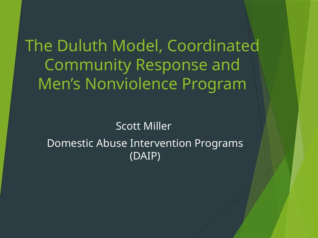 The Duluth Model, Coordinated Community Response - slide 1 of 31