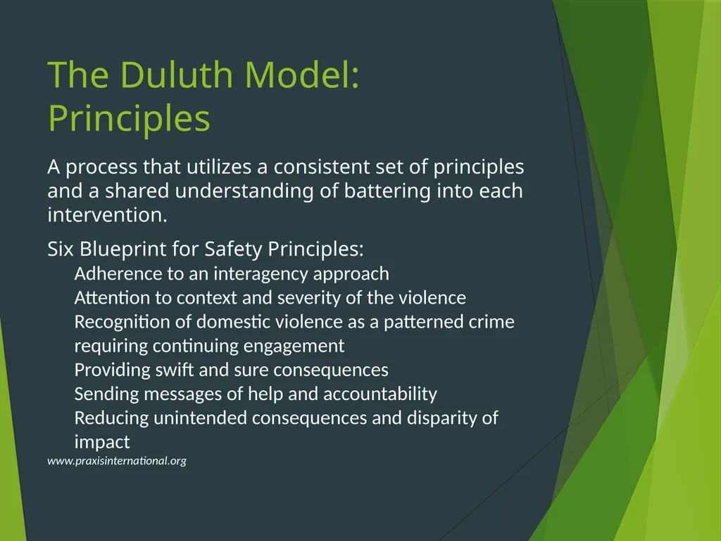 The Duluth Model, Coordinated Community Response - slide 11 of 31