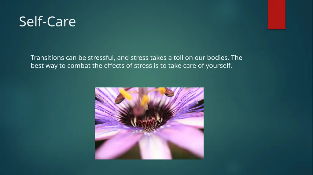Homesickness Homesickness It can hit you as soon - slide 16 of 23
