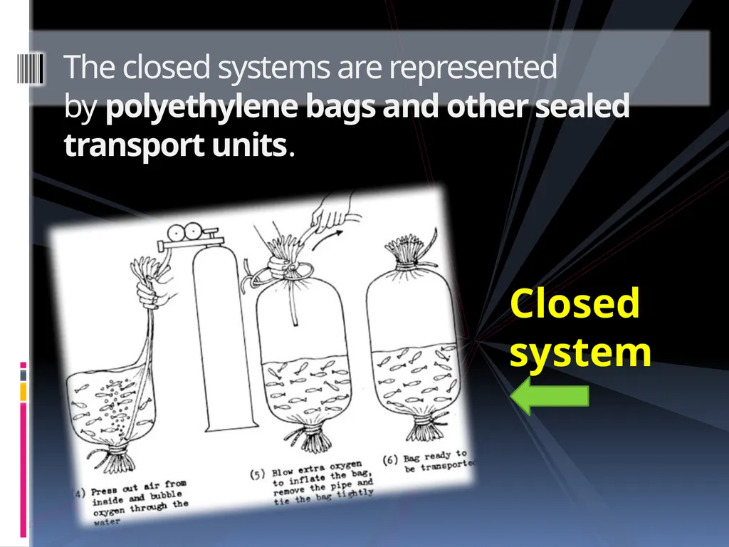 AQUARIUM FISH KEEPING An aquarium (plural - slide 12 of 15