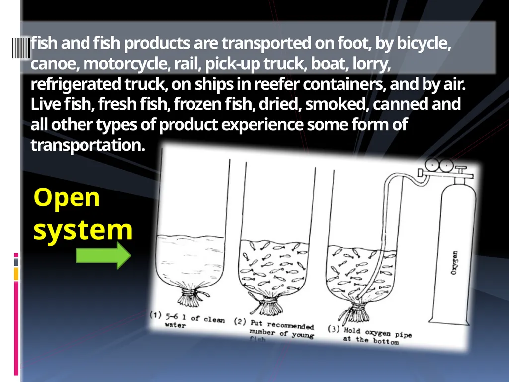 AQUARIUM FISH KEEPING An aquarium (plural - slide 11 of 15