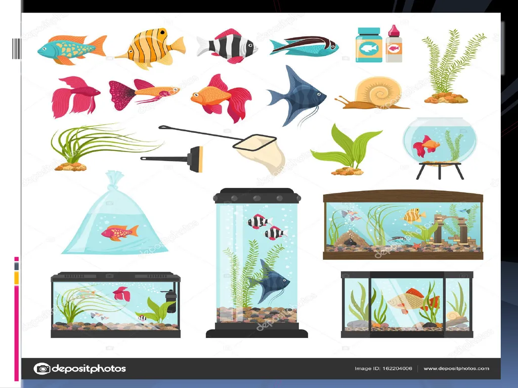 AQUARIUM FISH KEEPING An aquarium (plural - slide 7 of 15
