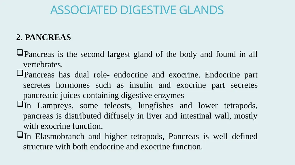 Comparative Anatomy of Digestive System in - slide 14 of 14