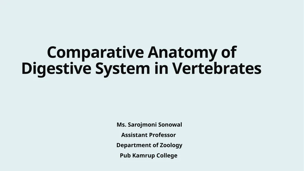 Comparative Anatomy of Digestive System in - slide 1 of 14