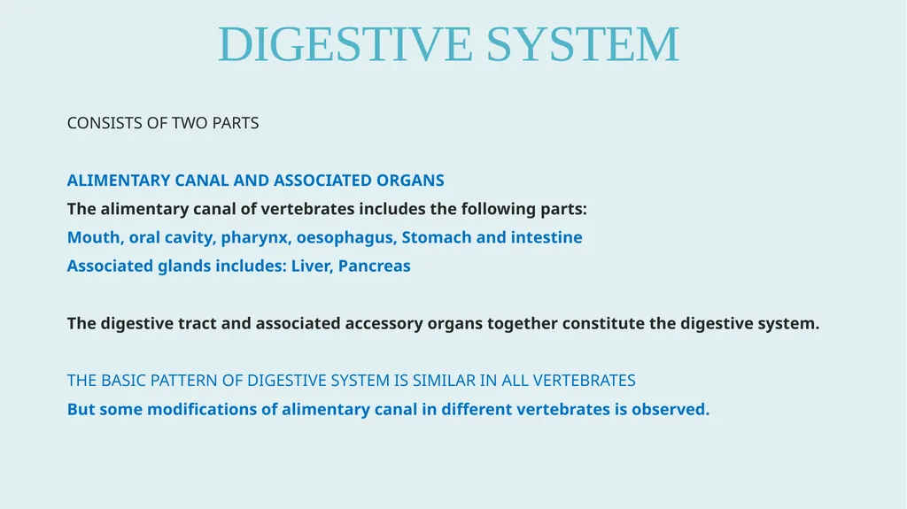 Comparative Anatomy of Digestive System in - slide 2 of 14