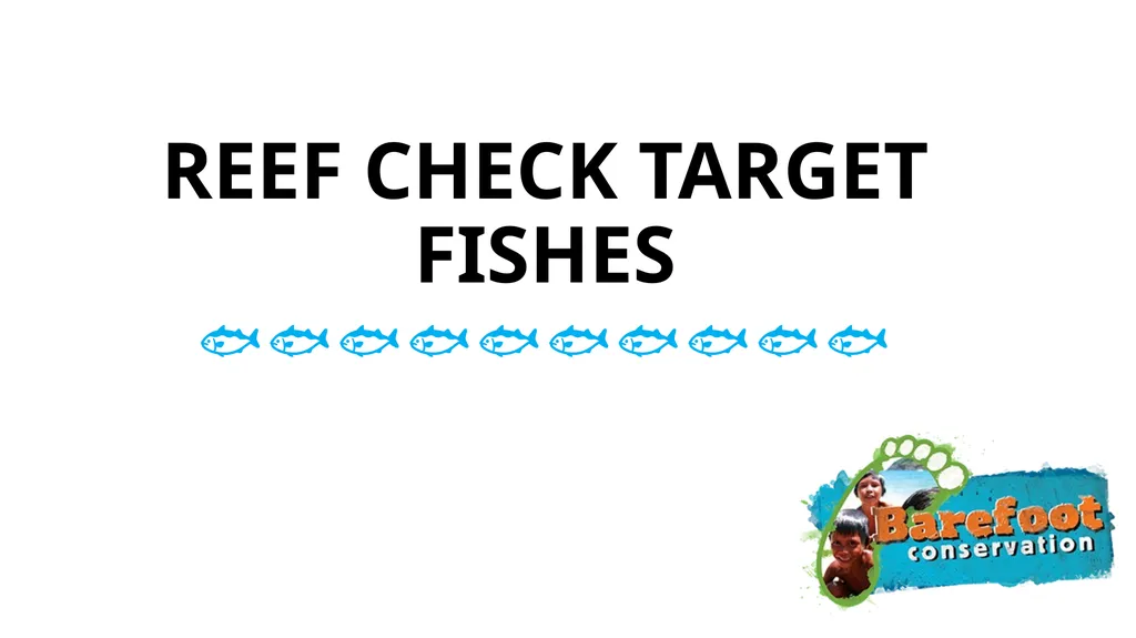 REEF CHECK TARGET FISHES TARGET FAMILIES Groupers - slide 1 of 16