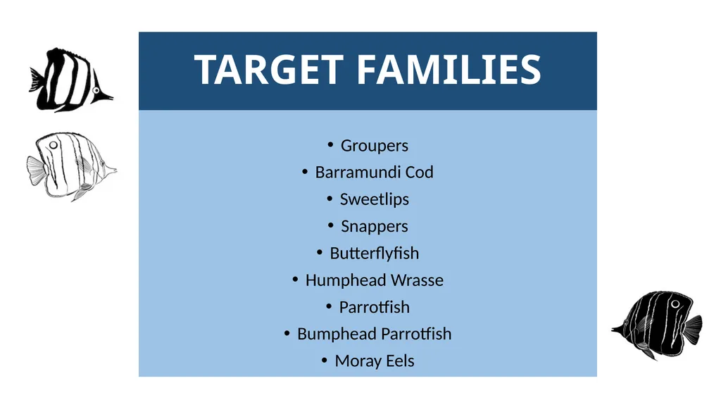 REEF CHECK TARGET FISHES TARGET FAMILIES Groupers - slide 2 of 16