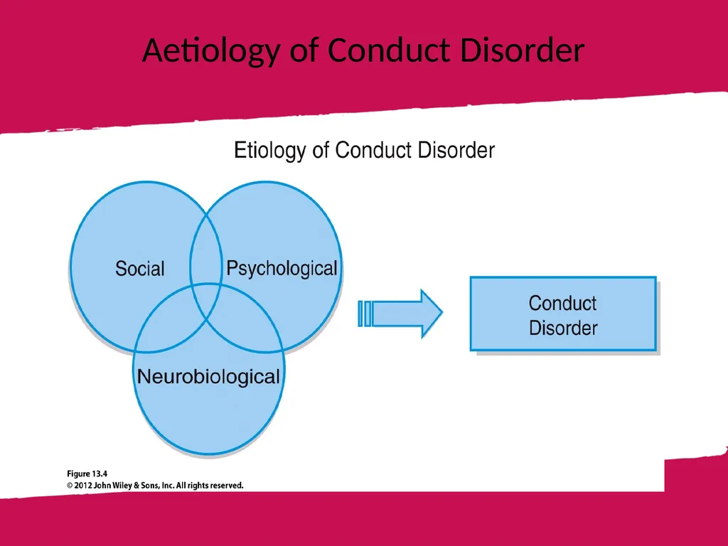 Section Title Mental Health Dr Kumaran Gohula - slide 21 of 56