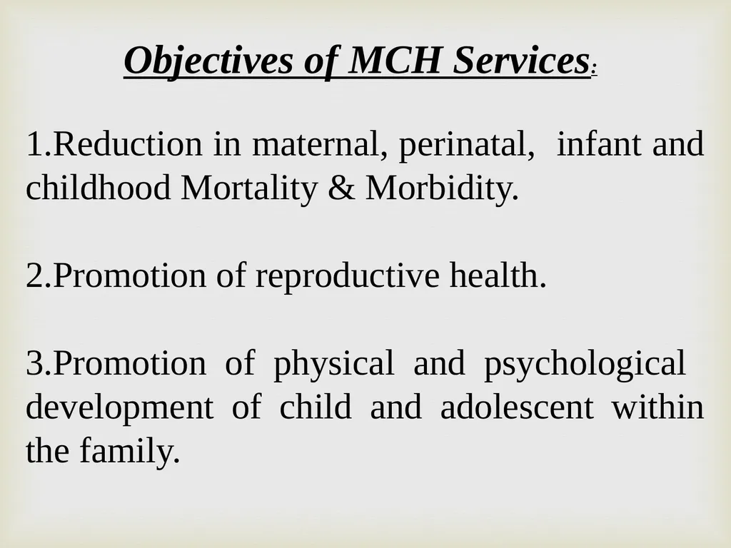 Maternal & Child Health Indicator Prof. Dr. Rabea - slide 2 of 31