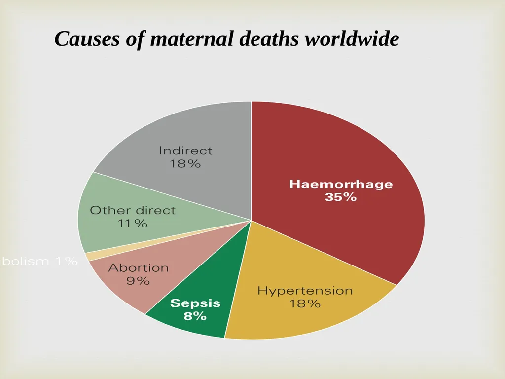 Maternal & Child Health Indicator Prof. Dr. Rabea - slide 9 of 31