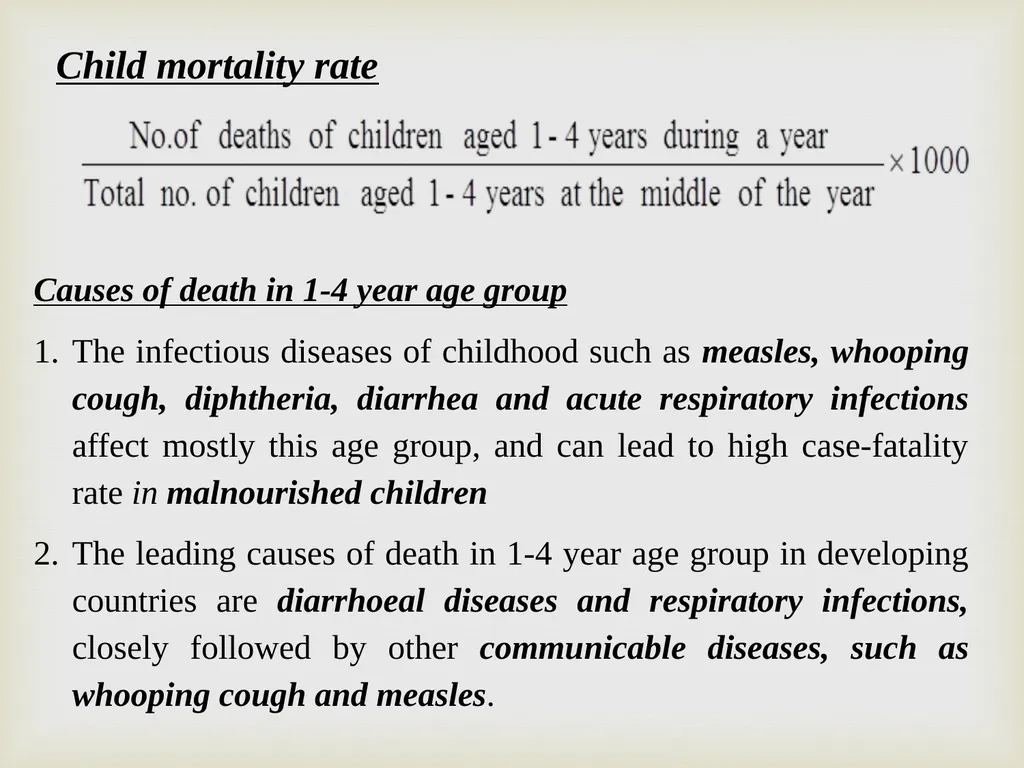 Maternal & Child Health Indicator Prof. Dr. Rabea - slide 29 of 31