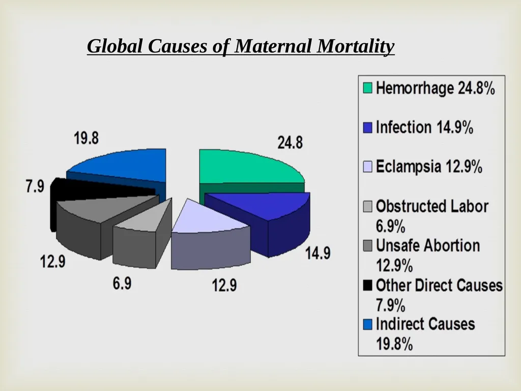 Maternal & Child Health Indicator Prof. Dr. Rabea - slide 10 of 31