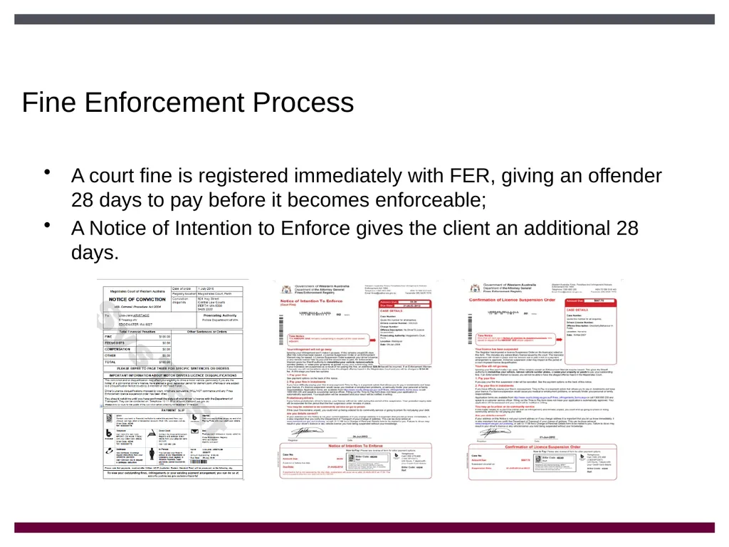 Fines Enforcement Registry Introduction The Fines - slide 7 of 19