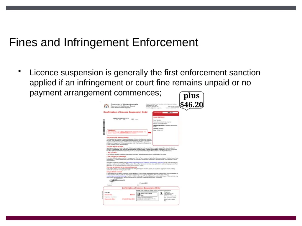 Fines Enforcement Registry Introduction The Fines - slide 8 of 19