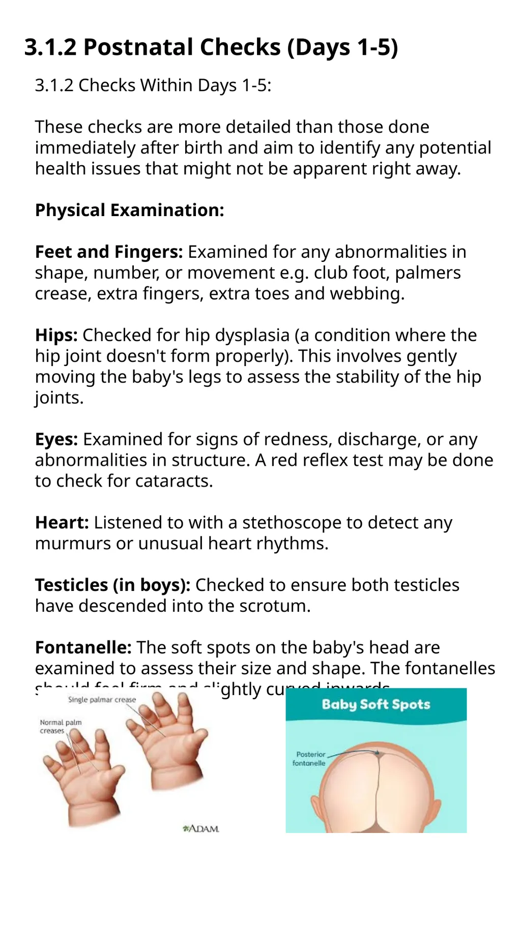 Child Development Revision Guide CNAT OCR TA3 - slide 12 of 45