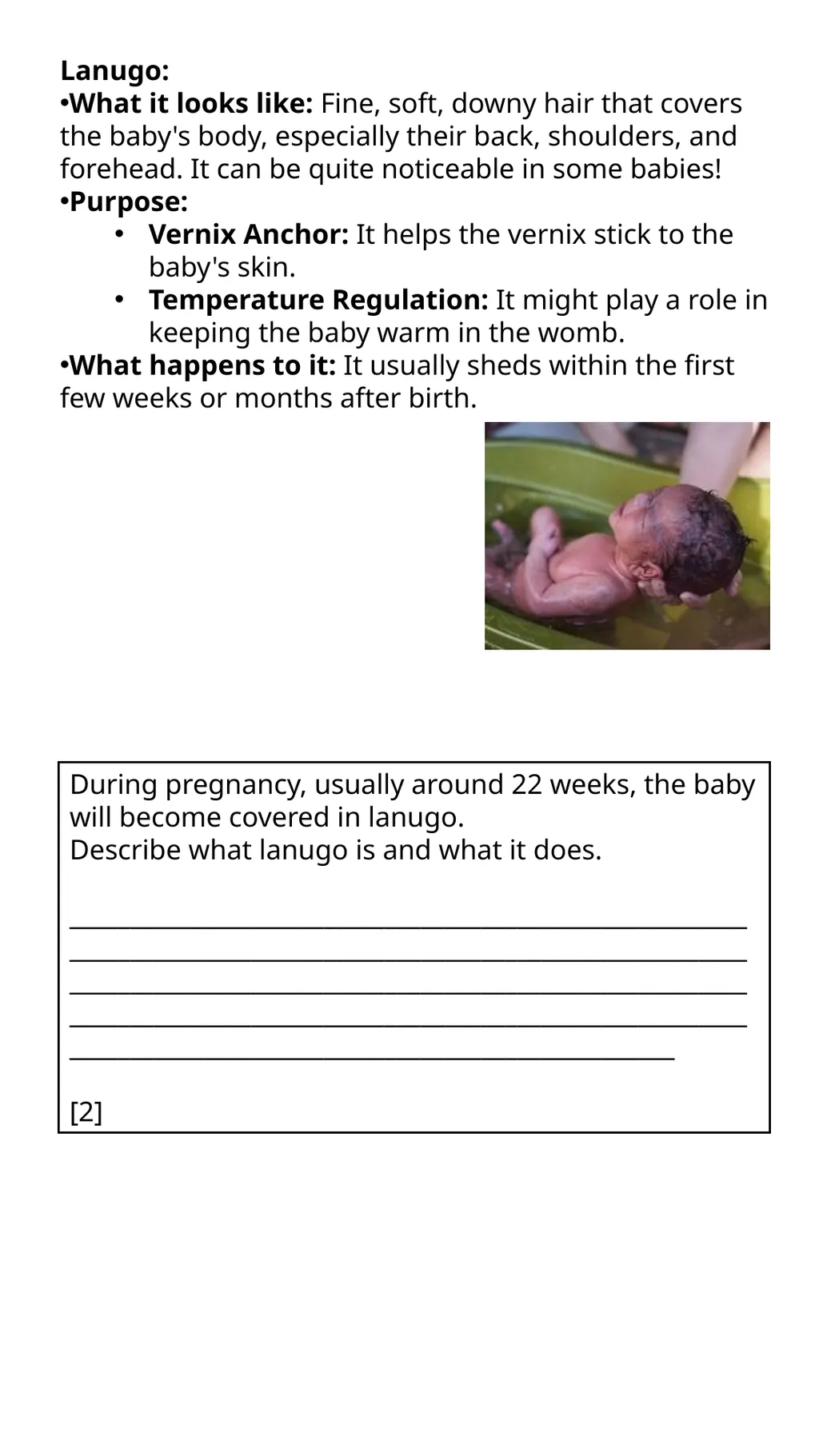 Child Development Revision Guide CNAT OCR TA3 - slide 9 of 45