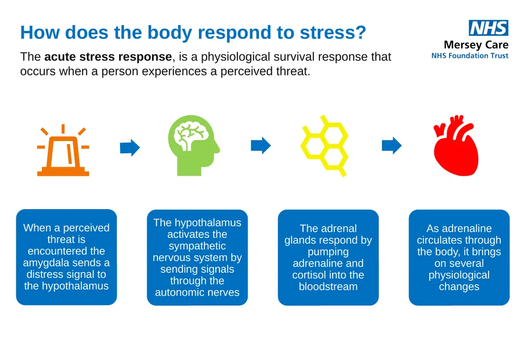 Trauma Informed Safeguarding Practice: Briefing - slide 4 of 8