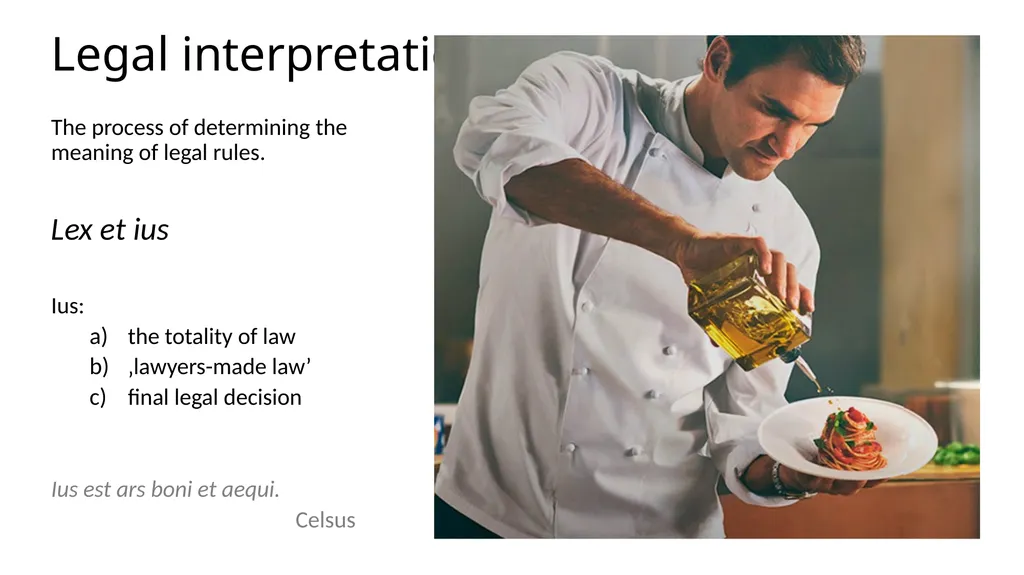 Legal Language Statutory interpretation Maciej - slide 2 of 18