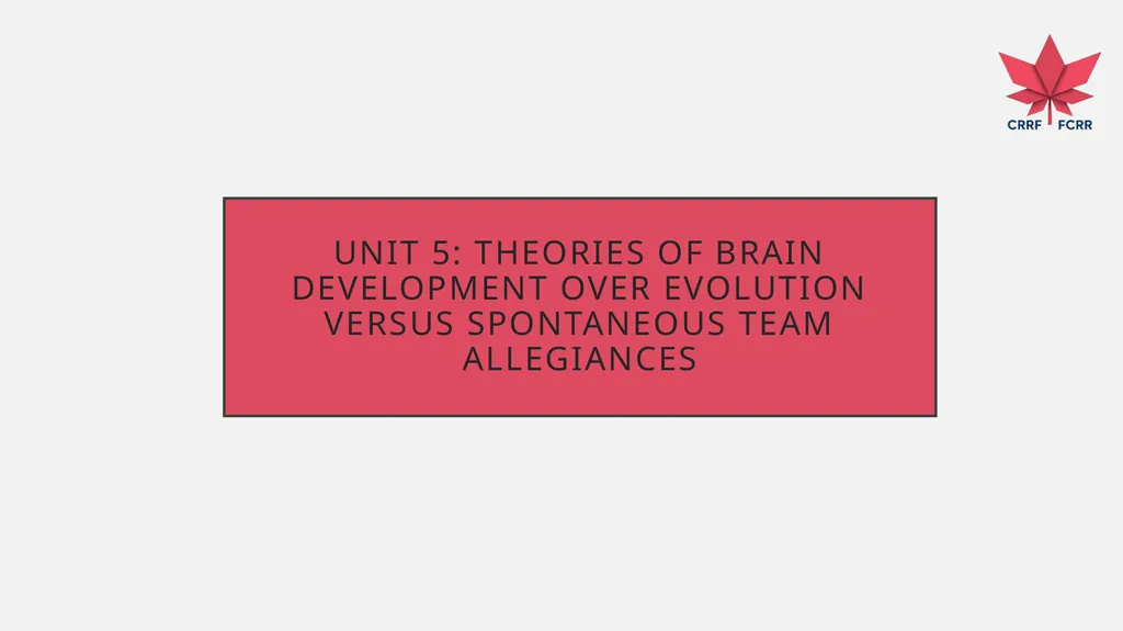 UNDERSTANDING HOW THE BRAIN DEVELOPS BIAS CRRF - slide 40 of 72