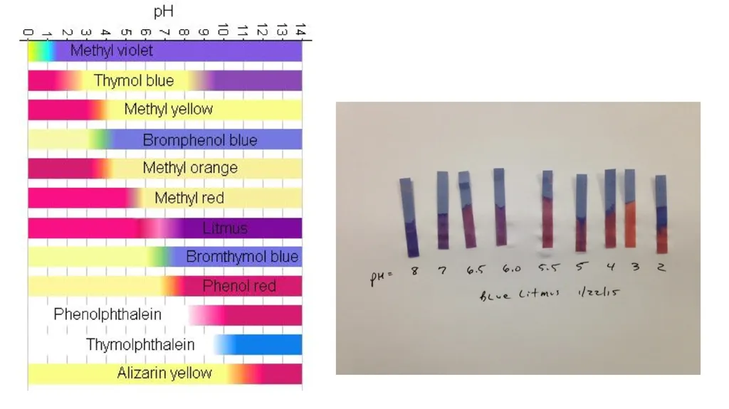 Aim: How to determine if a solution is acidic, - slide 14 of 26