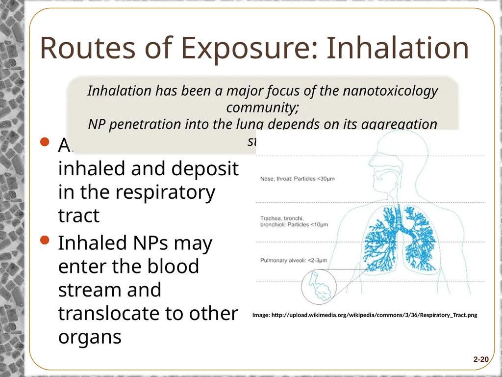 Module 2: What Workers Need to Know about - slide 19 of 27