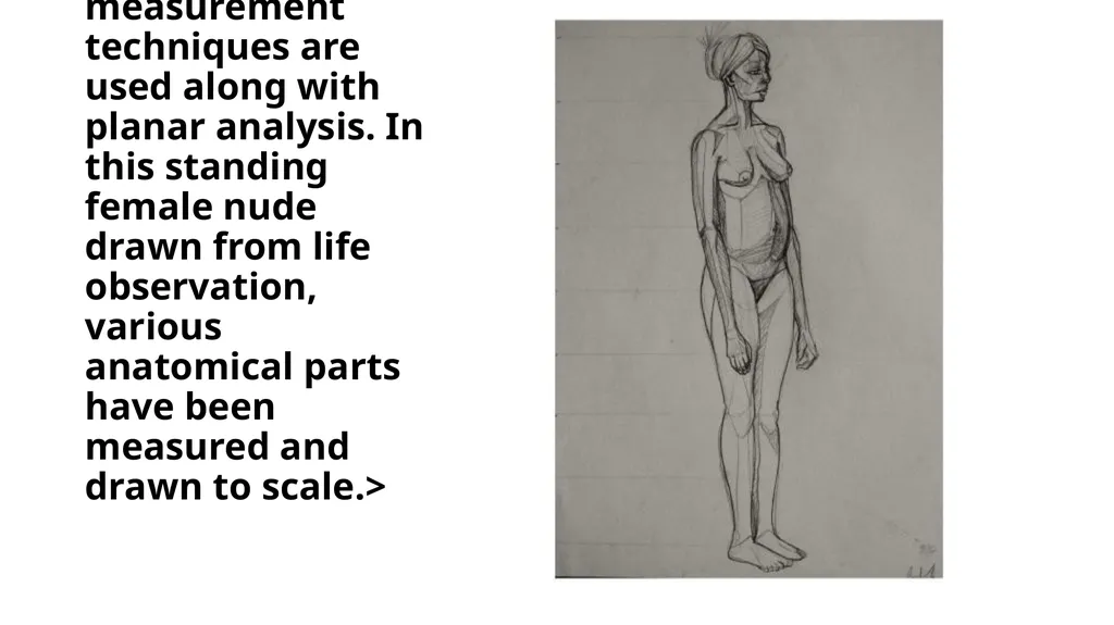 Learning How Artists Draw: A Sight Measuring - slide 33 of 40