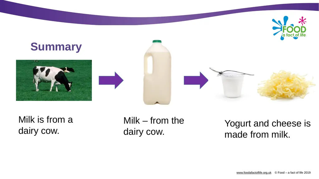 Where does milk come from? What are these? Milk - slide 7 of 9