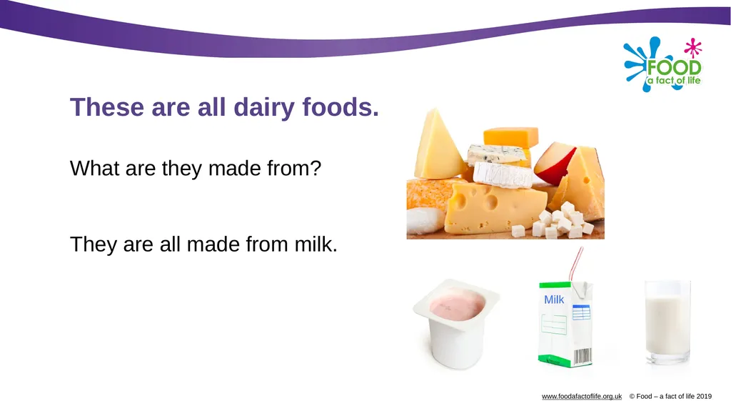 Where does milk come from? What are these? Milk - slide 3 of 9