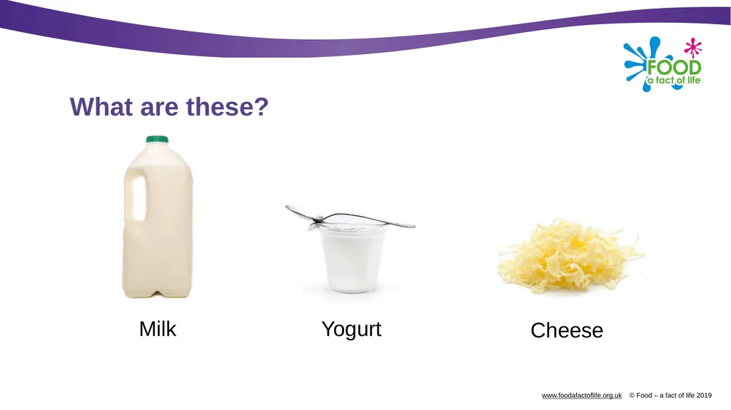 Where does milk come from? What are these? Milk - slide 2 of 9