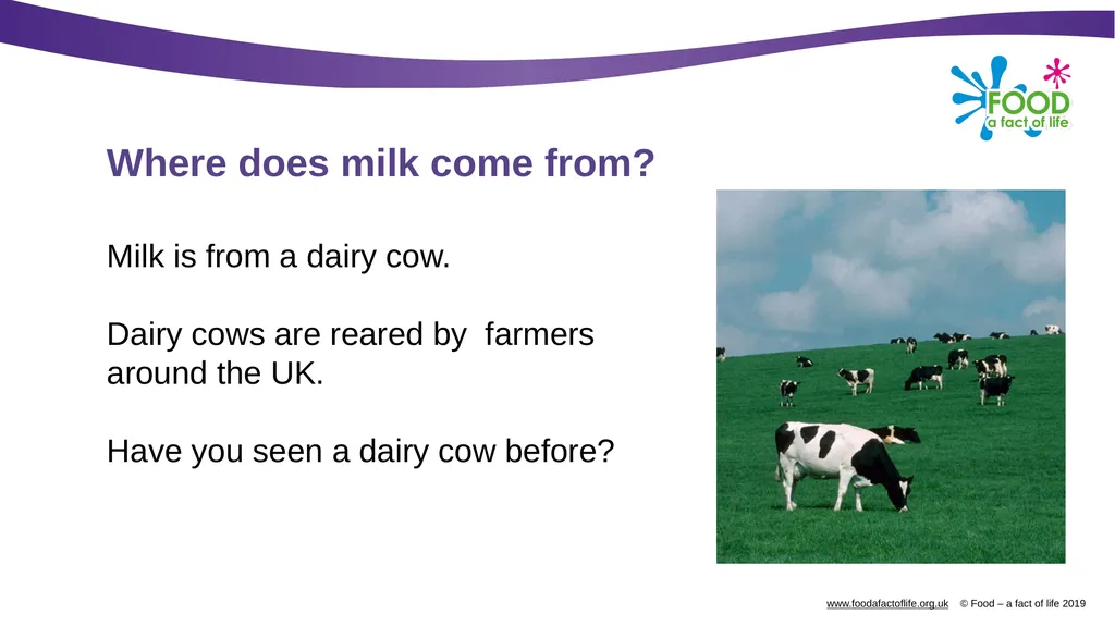 Where does milk come from? What are these? Milk - slide 4 of 9