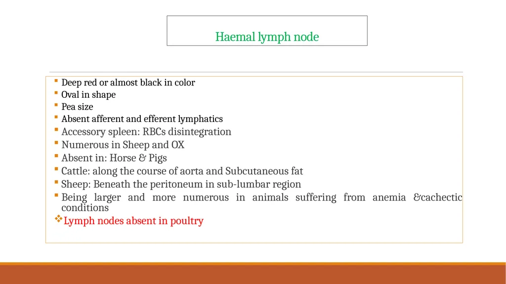 Lymph nodes examination of food animals The - slide 6 of 9