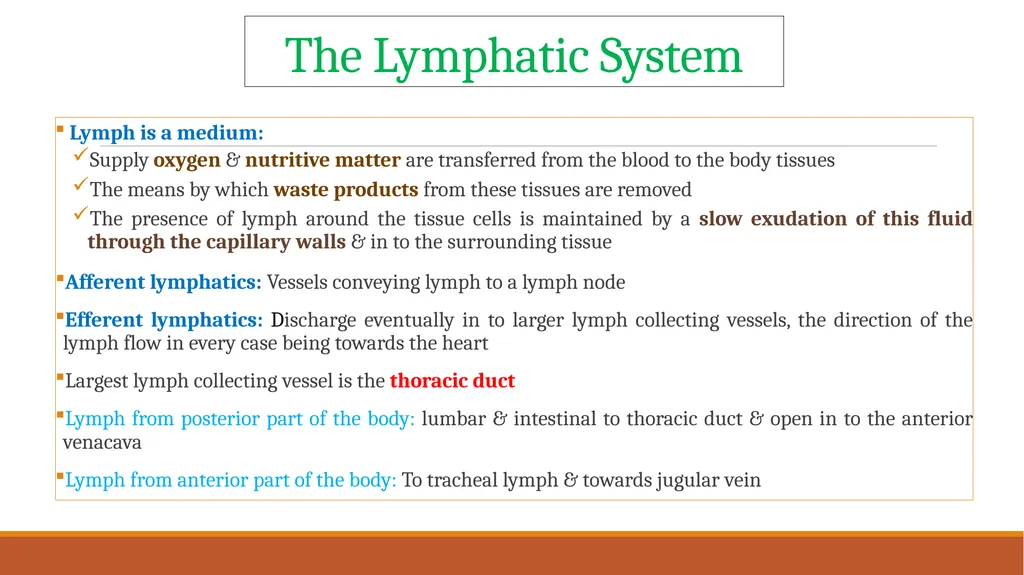 Lymph nodes examination of food animals The - slide 2 of 9