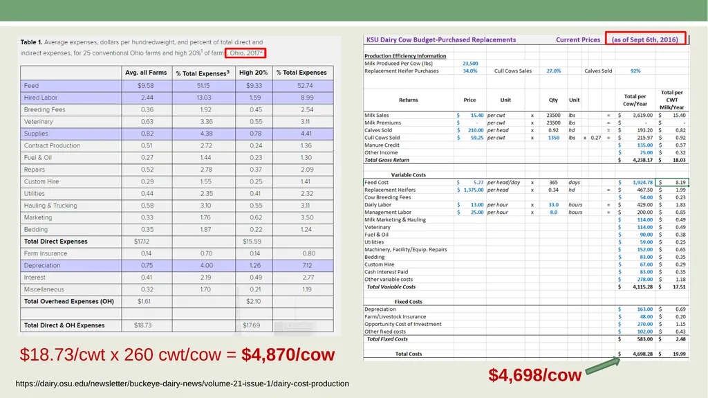 Economics of Cost in Farm Management AAE 320 Paul - slide 10 of 24