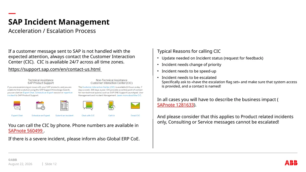 internal Global ERP domain SAP Incident Management - slide 12 of 17