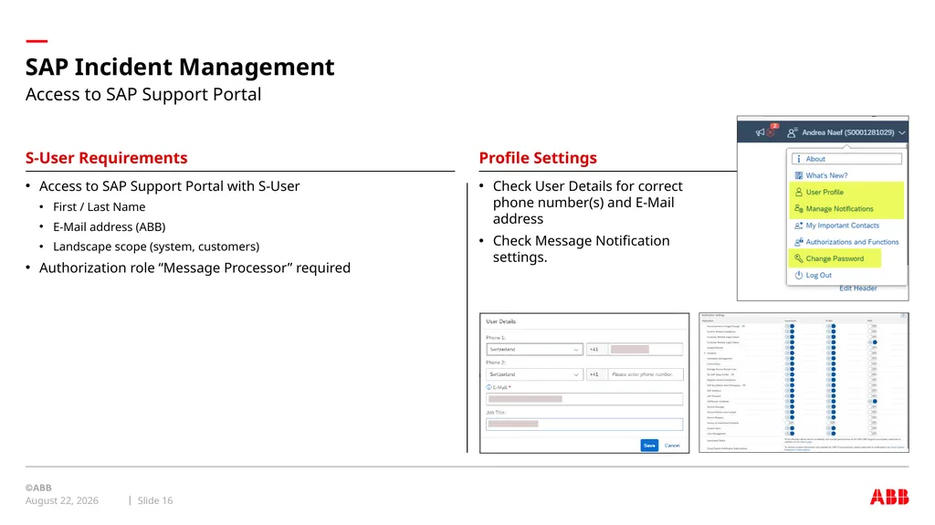 internal Global ERP domain SAP Incident Management - slide 16 of 17