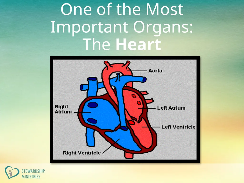 A Heart for Christ TRACY B. JOHN One of the - slide 2 of 21