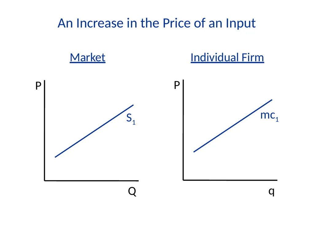 Lecture 7 Firms and Profit Maximization Economics - slide 45 of 71