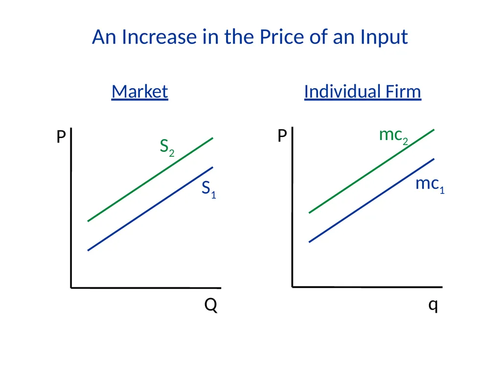 Lecture 7 Firms and Profit Maximization Economics - slide 46 of 71