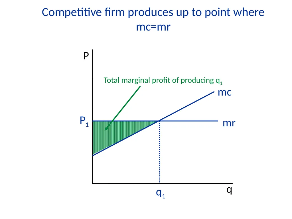 Lecture 7 Firms and Profit Maximization Economics - slide 24 of 71
